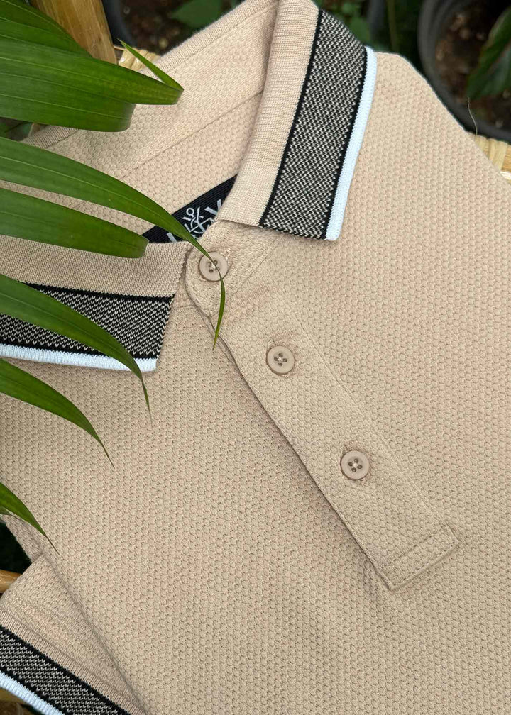 LATEST COLLECTIONS – LCY