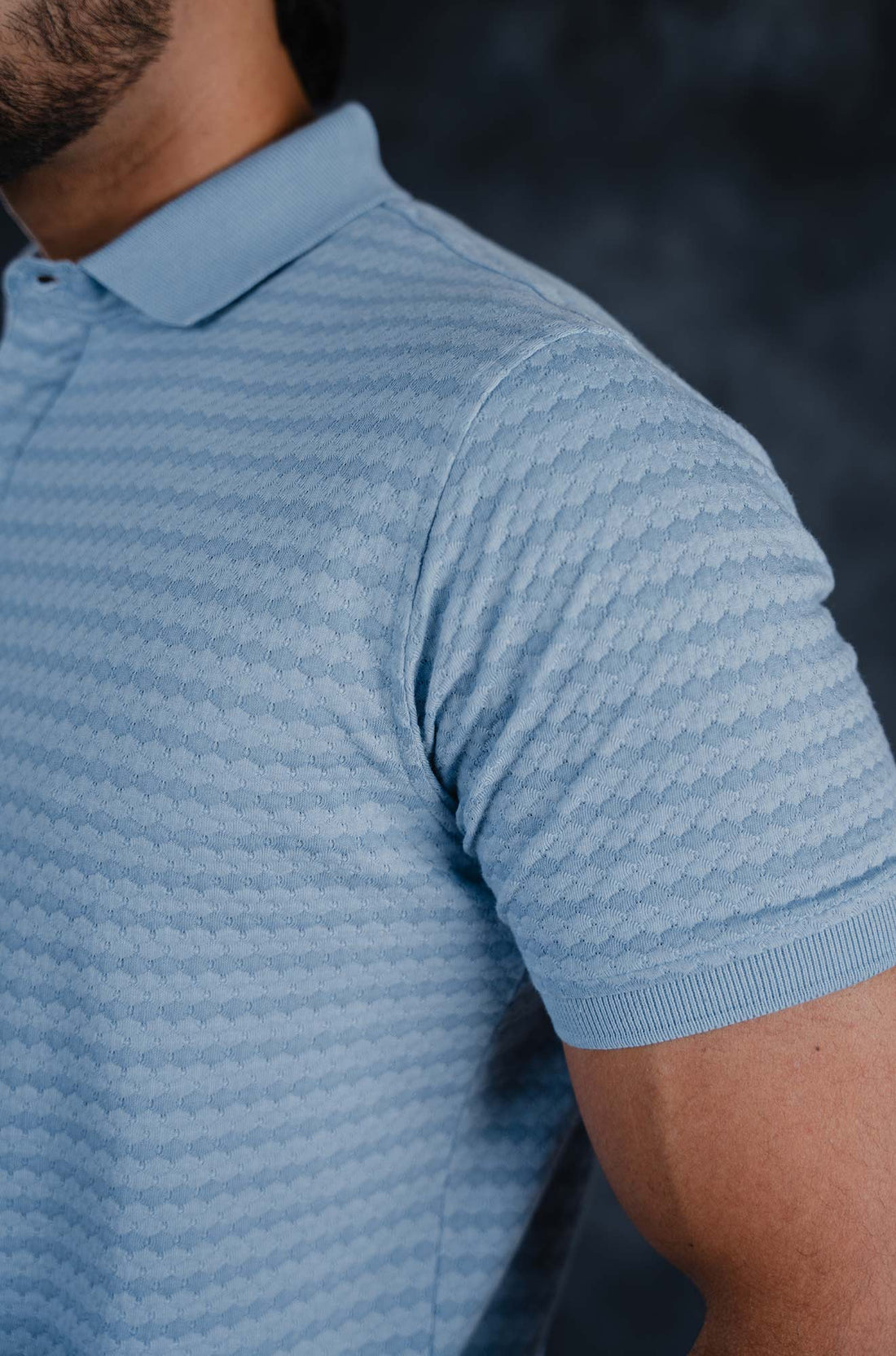 LCY | AW HONEYCOMB STRUCTURED POLO LCY